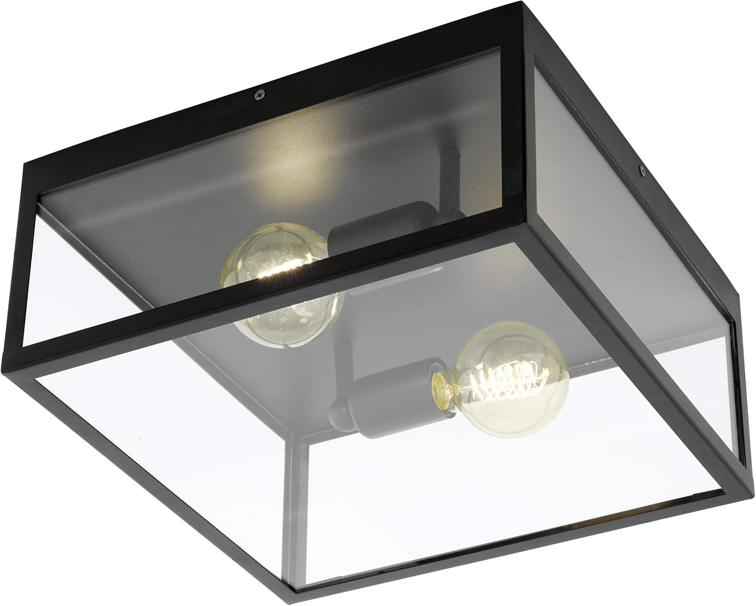 Eglo Ceiling Lamp Charterhouse, 2-Light Vintage Ceiling Fixture, Material: Steel, Colour: Black, Glass: Clear, Socket: E27