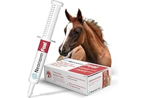 Neonorm Jaguar Animal Health Foal - Equine Supplement Paste for The Support of Proper Hydration & Bowel Health - Plant-Based Product for Pre-Weaned Foals (30 mL)