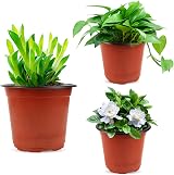 Augshy 6 Inch Plastic Plant Nursery Pots 130 Pack Terracotta Black Interior view 6