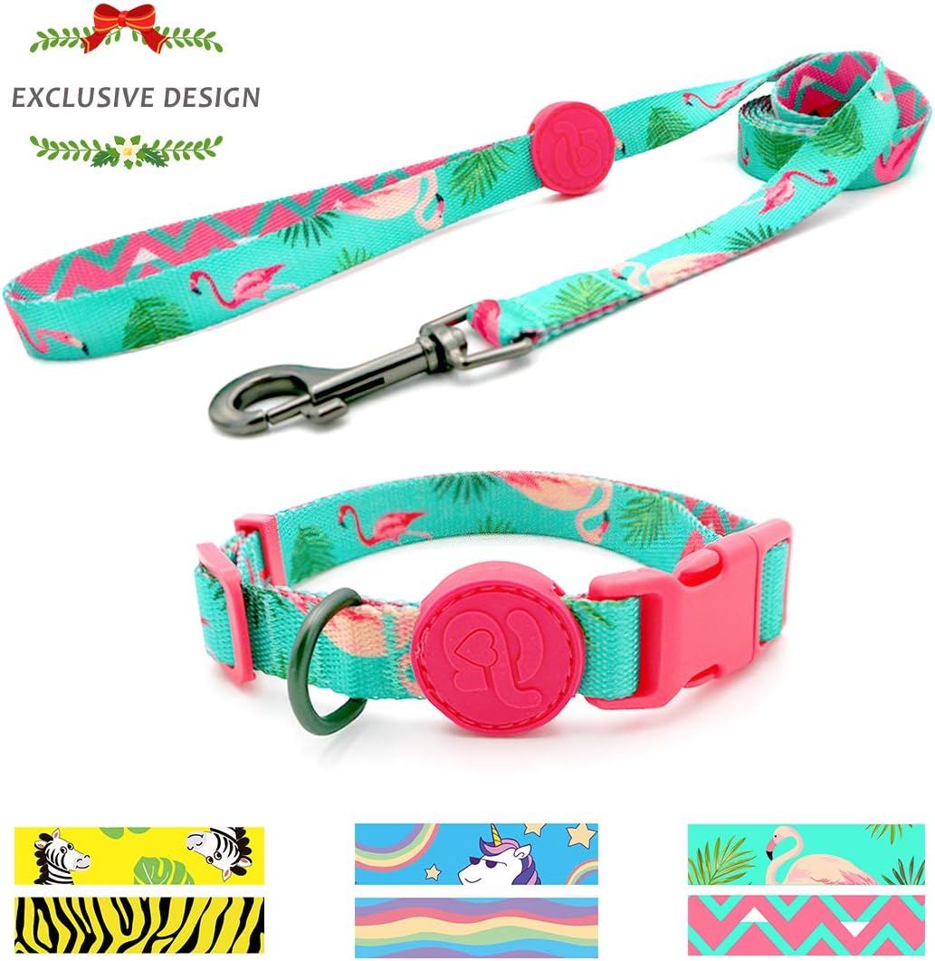 expawlorer dog harness
