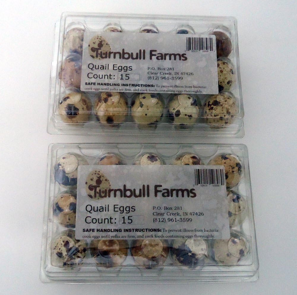 Turnbull Farms Fresh Gourmet Quail Eggs - 6 Dozen Eggs (72 eggs)