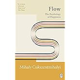 Flow: The Classic Work on How to Achieve Happiness, with a new Introduction by the author