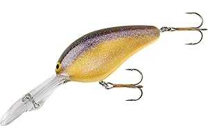 Norman Lures DD22 Deep-Diving Crankbait Bass Fishing Lure