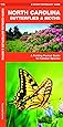 North Carolina Butterflies Amp Moths A Folding Pocket Guide