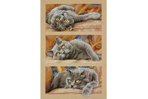 Dimensions 70-35301 Max the Cat Counted Cross Stitch Kit, 14 Count Beige Aida, 10" x 15"