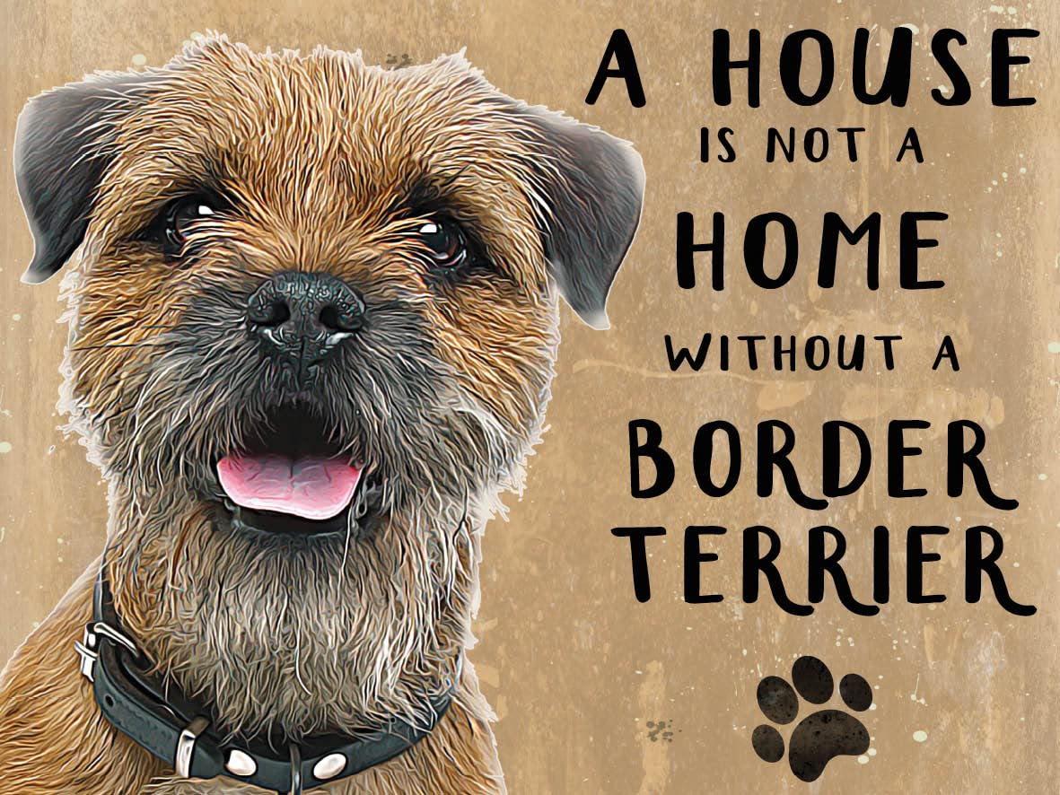 Small (150 x 200mm) Metal Sign - A House is Not a Home - Border Terrier