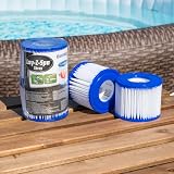 Bestway Filter Cartridge VI for Lay-Z-Spa Miami Vegas Monaco 3 x Twin Pack view 3