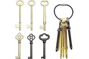 Skeleton Key Set, 6 Pcs Universal Hollow Barrel Skeleton Keys with Wire Rope Keychain, Antique Vintage Key Kit for Vintage Fu