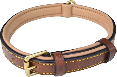 soft touch collars padded leather dog collar
