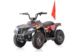 SUNDERWELL Electric ATV for Kids 4 Wheeler, Electric Quad Vehicle 36V, 500W 12-15MPH 2-Speed with LED Headlight, Double Shock Absorption, Disc Brake, Dual Suspension (Red)