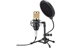 ZINGYOU Desktop Microphone Set ZY-801+ Condenser Microphone Professional Studio Cardioid PC Mic Bundle for Studio Recording a