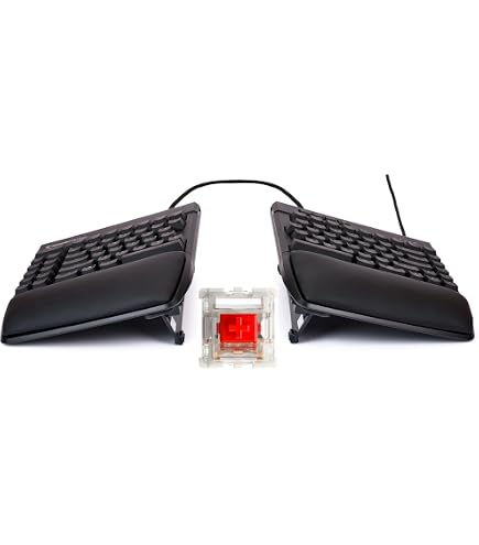 Amazon.com: KINESIS Mechanical Keypad LP Numeric 10-Key for Mac