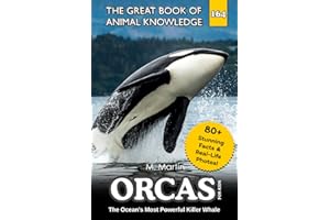 Orcas for Kids: The Ocean's Most Powerful Killer Whale