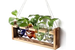 CYZglass Plants Propagation Stations Plant Terrarium Kit for Bathroom Glass Planters for Indoor Plants Bathroom Decor Accessories - Relax Soak Unwind Breathe