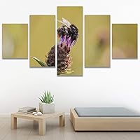 SIGNWIN 5 Panel Canvas Wall Art Bee on Flowers I for Home Decorations Ready to Hang - 60