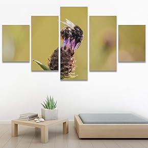 SIGNWIN 5 Panel Canvas Wall Art Bee on...