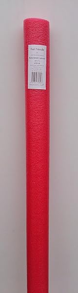 Toyrific Swimming Pool Noodle Float AID WOGGLE Red Blue Yellow view 3