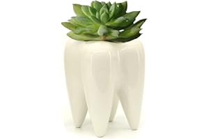 MONMOB Ceramic Tooth Shaped Pen Pencil Toothbrush Holder Pot Succulent Plant Pot Home Office School Dentists Gift Ideal Gifts for Women, Mom or Birthdays