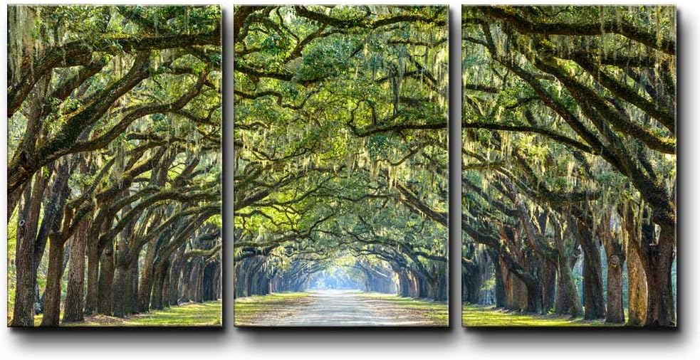 wall26 Canvas Print Wall Art Set Path Through The Hanging Tree Archway Nature Wilderness Photography Realism Contemporary Colorful Multicolor Ultra for Living Room, Bedroom, Office - 24"x36"x3