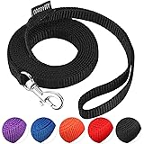 kitty holster cat harness amazon