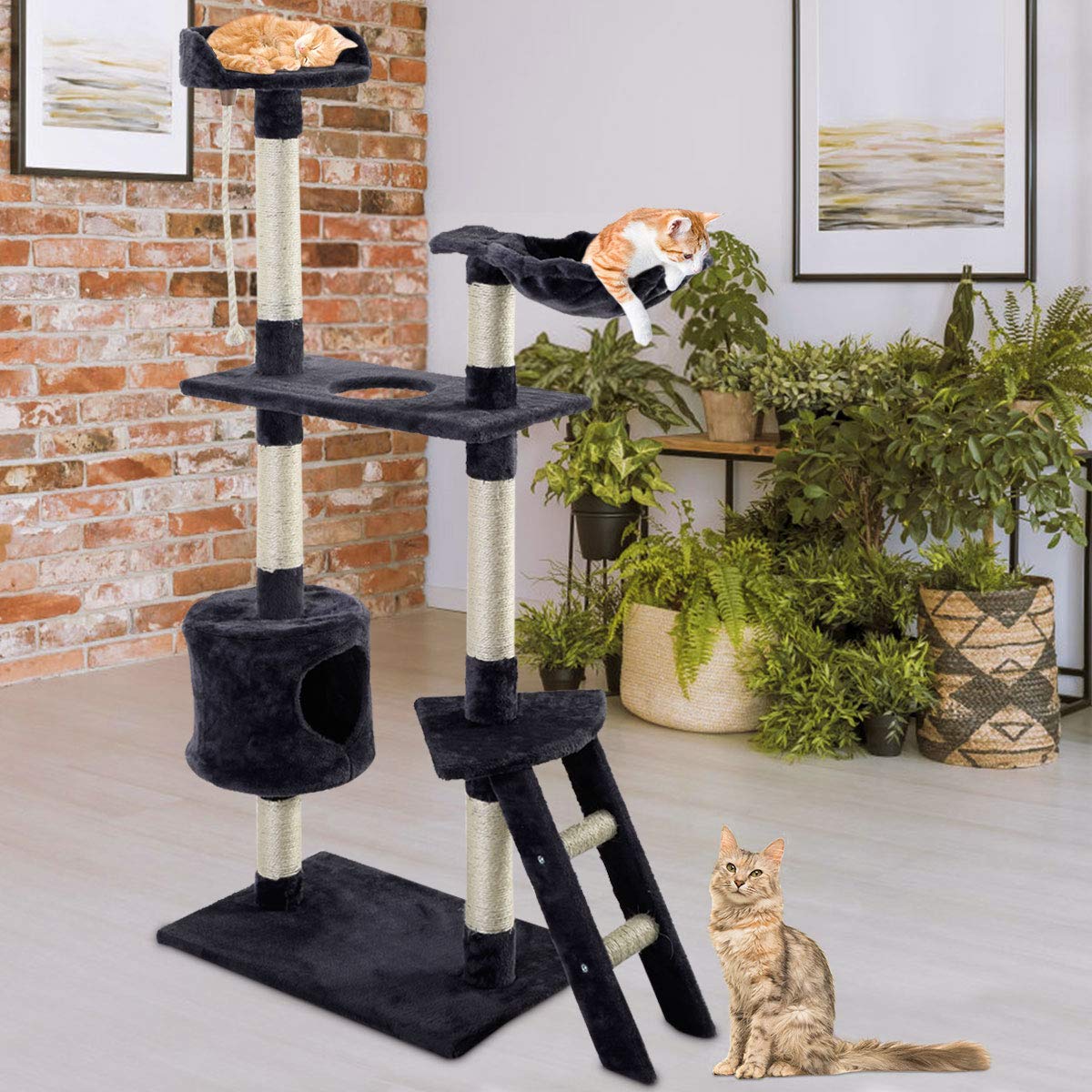 Best Multi Level Ladder