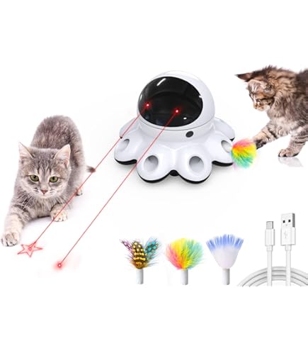 Amazon.com: Zip Kitty 11