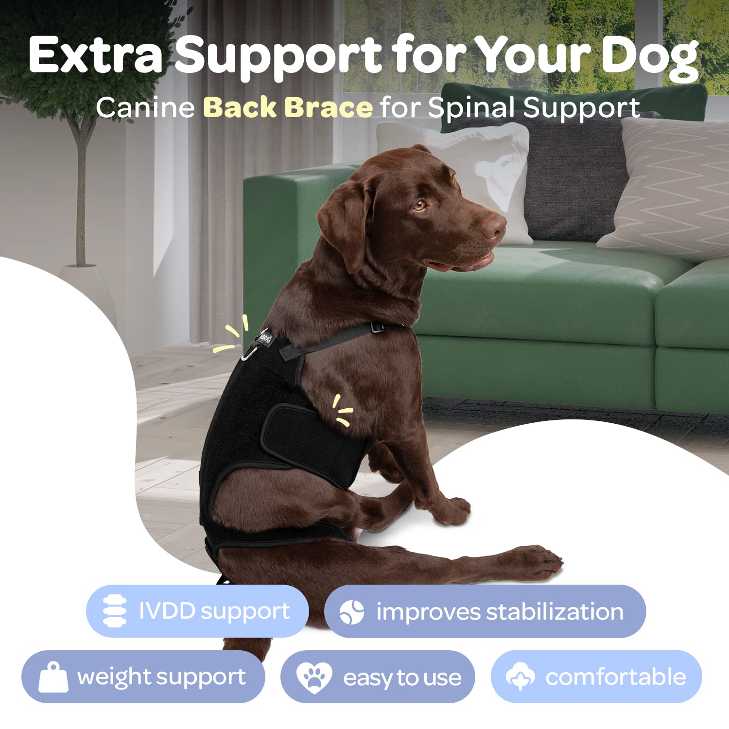 Mua Labra Dog Canine K9 Back Brace - IVDD Spine Pain & Spinal Injury ...