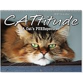 Current 2027-2028 Wall Calendar | Cattitudes Cat, 9" x 12" Size Closed, 18" Size Open, Large Bookstore-Quality, Spiral-Bound Hanging Monthly, For Home &amp; Office