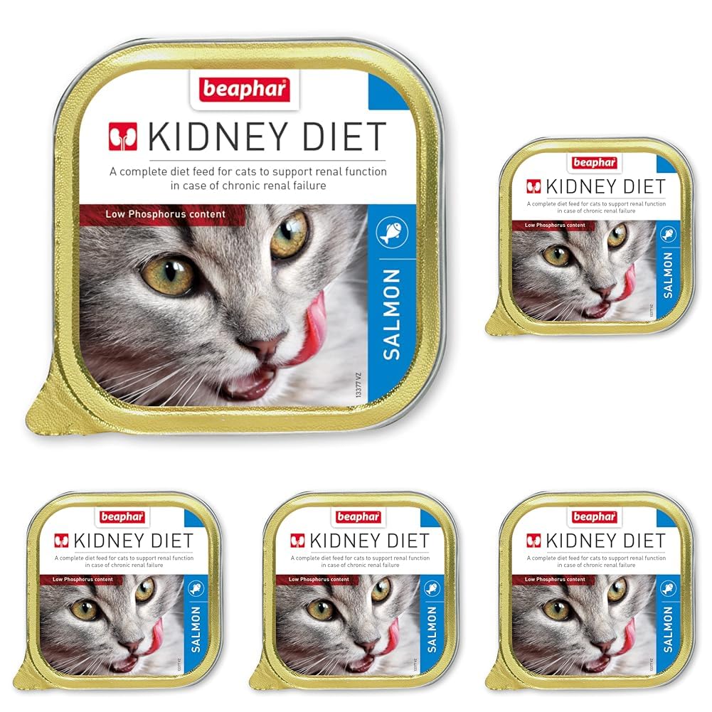 Beaphar | Kidney Diet for Cats | Supports Renal Function | Renal Insufficiency | Vet Recommended | Kidney Care | Low Protein & Low Phosphorus | Salmon Flavour | 100g (Pack of 5)