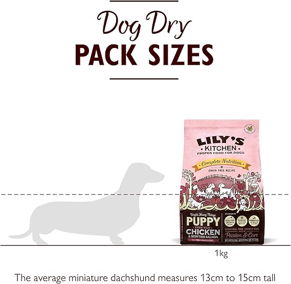 lily's kitchen puppy chicken & salmon