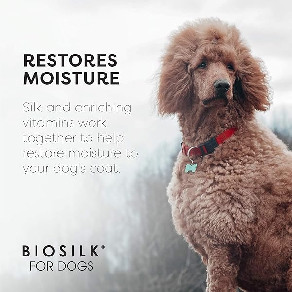 BIOSILK FOR DOGS SILK THERAPY SHAMPOO WITH NATURAL COCONUT OIL | COCONUT DOG SHAMPOO, SULFATE AND PARABEN FREE NATURAL SHAMPOO FOR DOGS, 12 FL OZ MADE IN THE USA,BEIGE