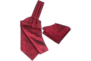 Rosiika Men's Paisley Self-tied Cravat Tie Ascots and Pocket Square Set Ascot