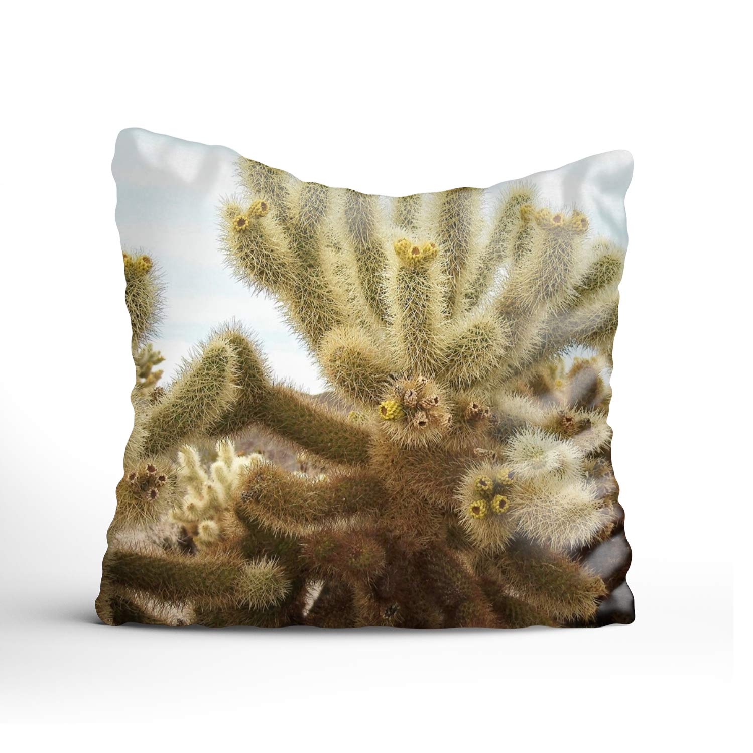 Amazon Com Funnylife Cholla Cactus Garden Designs Decorative