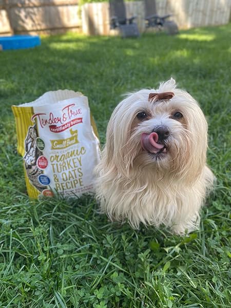 SMALL BREED ORGANIC TURKEY & OATS