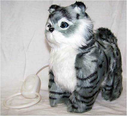 remote control kitten