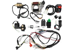 AuInLand Complete Electrics Wiring Harness Kit, Stator Coil CDI Wiring Loom Kit fit for 4 Stroke ATV 50cc 70cc 110cc 125cc, P