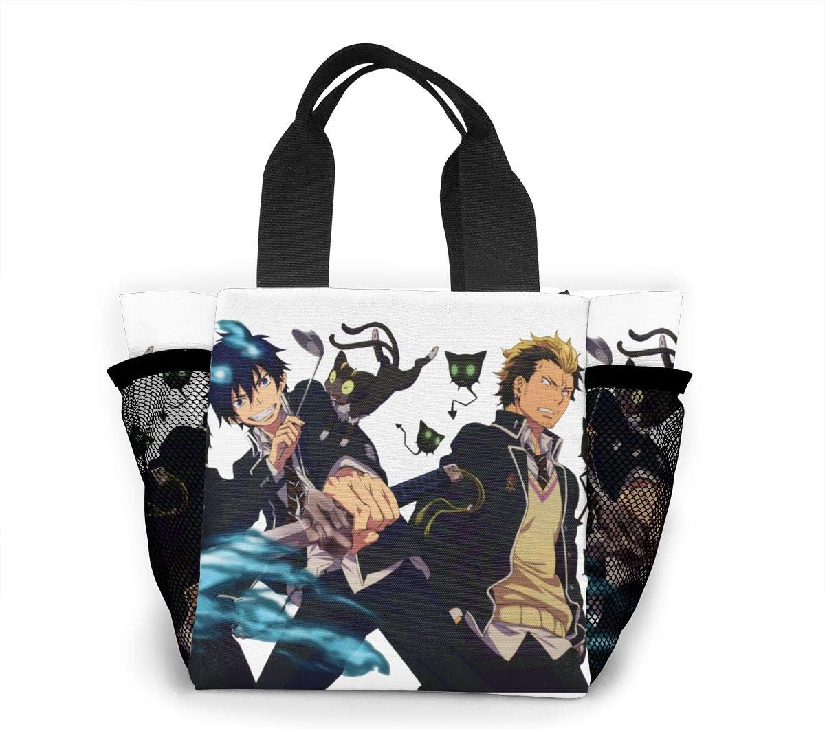 small tote lunch bag