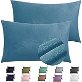 2 Pack Zippered Velvet King Pillowcases, Super Soft and Cozy Luxury Fuzzy Flannel Pillow Cases with Zipper, 20x36 Inches, Light Blue
