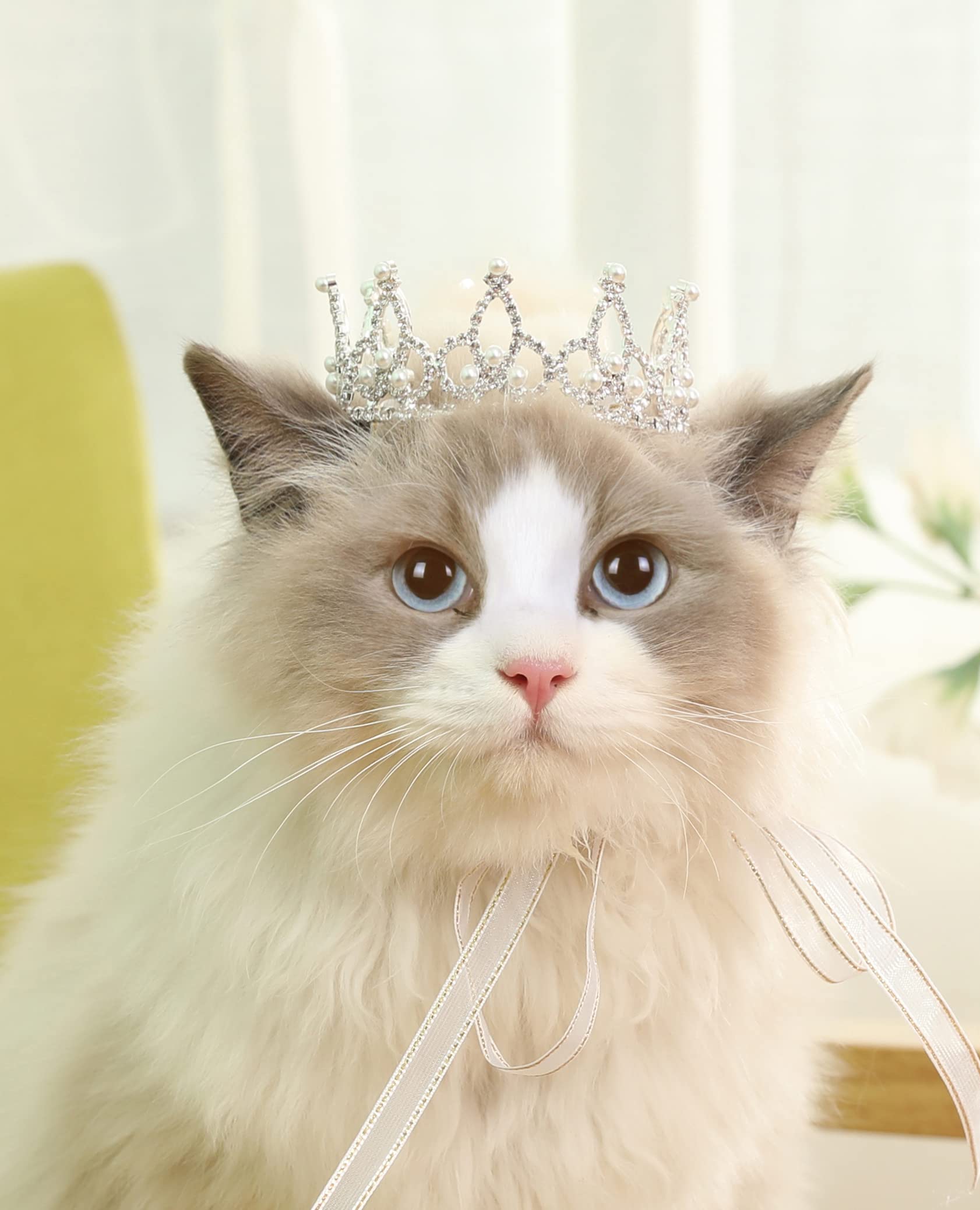 Lovelyshop Pet series Silver Plated Royal Rhinestone Pearl Full Round Dog/Cat Crown for Costume Hair Accessories-Small Size