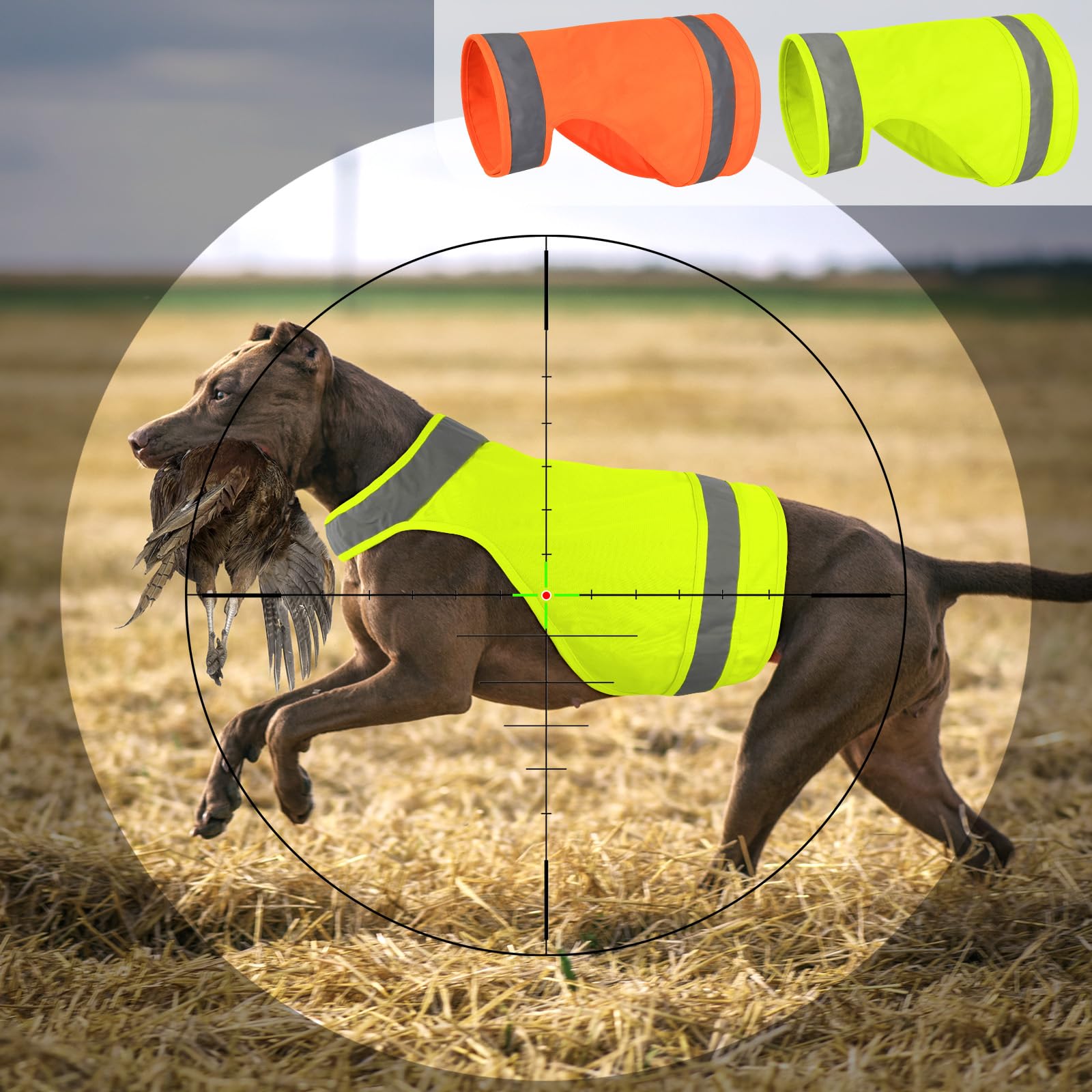 BiPawTi 2 PCS Safety Dog Vest, Fluorescent Hunting Vest for Dog, Keep Dogs Safe From Cars & Hunting Accidents, Reflective Dogs Coat for Night Walking, Training, Jogging - Blaze Orange & Green, L