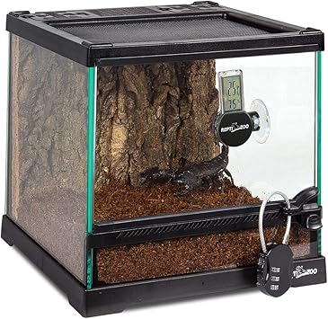 Amazon Repti Zoo 飼育キット 6点セット 爬虫類 グラステラリウム デジタル温度湿度計 ピンセット コードロック ヤシガラマットなど付き クモ サソリ ヤモリ 甲虫など昆虫 爬虫類用 飼育ケージ Repti Zoo 飼育ケース ケージ 通販