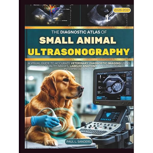 Small Animal Diagnostic Ultrasound: 9780323533379: Medicine