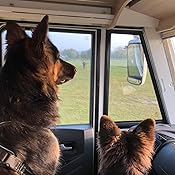 canagan dog food amazon