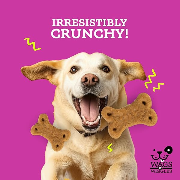 WAGS & WIGGLES SUPER HIPS FUNCTIONAL TREATS FOR DOGS, CHICKEN FLAVOR, 5.5 RESEALABLE BAG | HIP & JOINT SUPPORT DOG TREATS WITH GREEN LIPPED MUSSEL, FISH OIL, AND TURMERIC