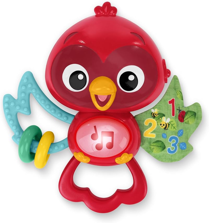 Baby Einstein Roxys Bright Flight Musical Toy Multisensory Ages 3 Months Up