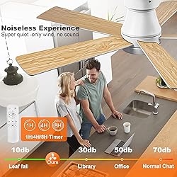 Ceiling Fans with Lights, 42 inch Low Profile