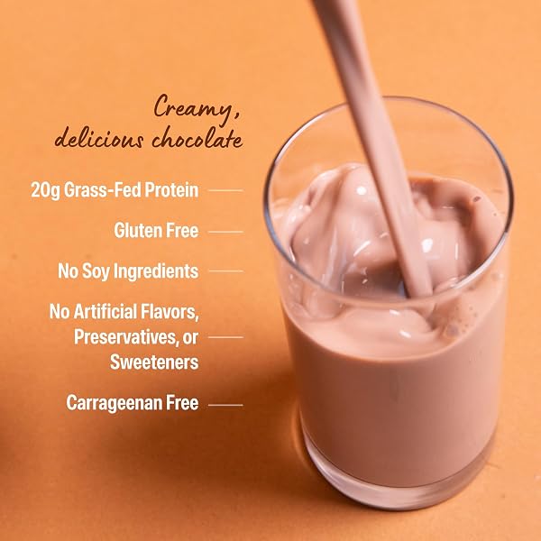 ORGAIN CLEAN PROTEIN SHAKE, GRASS FED DAIRY, CREAMY CHOCOLATE FUDGE – 20G WHEY HIGH PROTEIN, KOSHER, READY TO DRINK, LOW NET CARBS, GLUTEN FREE, NO SOY INGREDIENTS, 11 FL OZ (PACK OF 12)