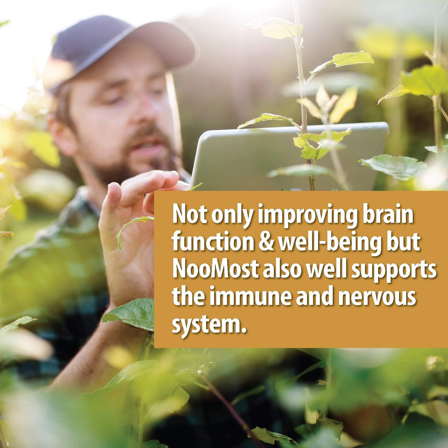 Organic Lions Mane Mushroom Capsules 5400mg, Ginkgo Biloba 120mg - Lion's Mane Ginko Biloba Memory Supplement for Nootropic Brain & Mental Clarity, Ginko Smart Maximum Focus and Memory, 2-Month Supply: Health & Personal Care