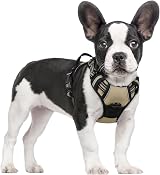 rabbitgoo Dog Harness Small No Pull Front & Back Leash Clips Adjustable