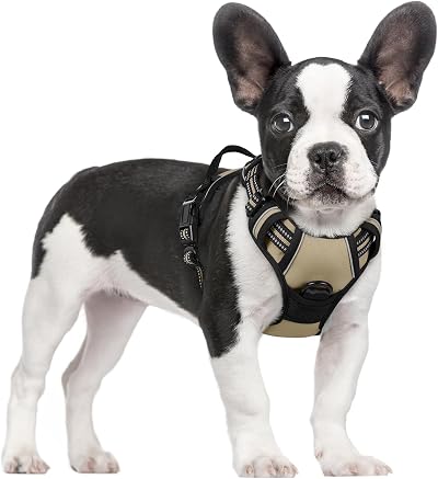 rabbitgoo Dog Harness Small No Pull Front & Back Leash Clips Adjustable